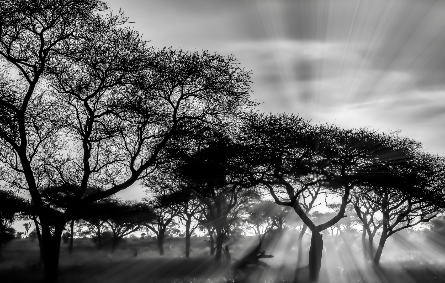 African landscape